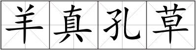羊真孔草