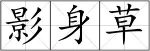 影身草
