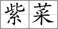 紫菜