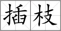 插枝