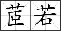 茝若