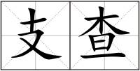 支查