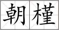 朝槿