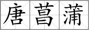唐菖蒲