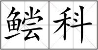 鲿科