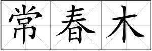 常春木