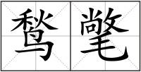鹙氅