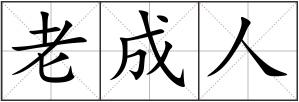 老成人