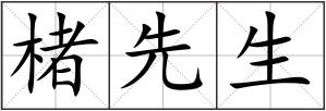 楮先生