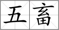 五畜