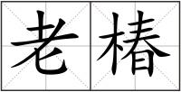 老椿