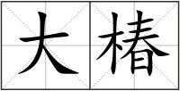 大椿