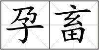 孕畜