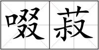 啜菽