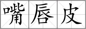 嘴唇皮