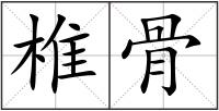 椎骨