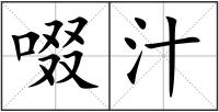 啜汁