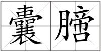 囊膪