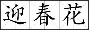 迎春花