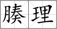 腠理