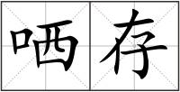 哂存