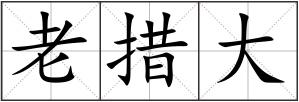 老措大