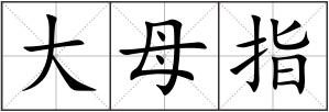 大母指