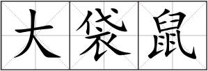 大袋鼠