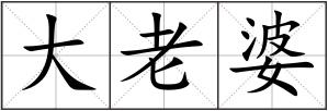 大老婆
