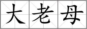 大老母