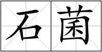 石菌
