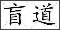 盲道