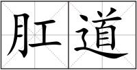 肛道