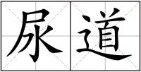 尿道