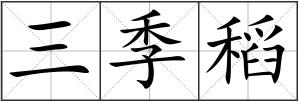 三季稻