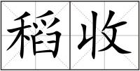 稻收