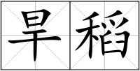 旱稻