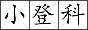 小登科