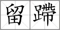 留蹛