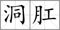 洞肛