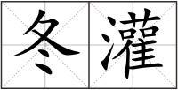 冬灌