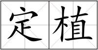 定植