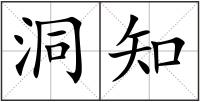 洞知