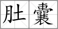 肚囊