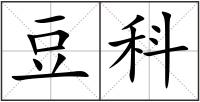 豆科
