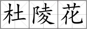 杜陵花