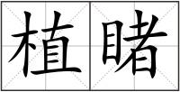 植睹