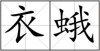 衣蛾