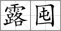 露囤