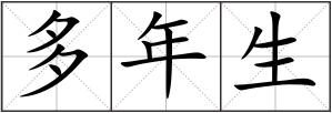 多年生